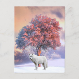 Witte Wolf in de winter | BRIEFKAART