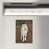 Witte Wolf Magneet (Insitu (Vaatwasser))