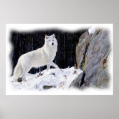 WITTE WOLF POSTER (Voorkant)