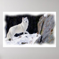 WITTE WOLF