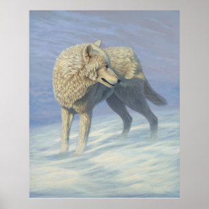 Witte Wolf Schilderij - Poster