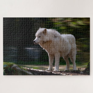 Witte Wolf Super Difficult Wildlife Legpuzzel