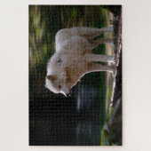 Witte Wolf Super Difficult Wildlife Legpuzzel (Verticaal)