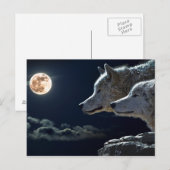 Witte wolven in de volle maan briefkaart (Voorkant / Achterkant)