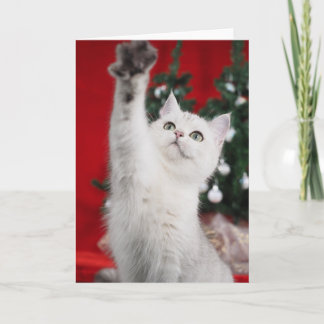 Witte XMAS Cat Feestdagen Kaart