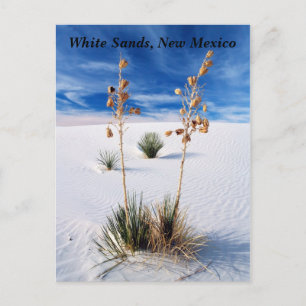 Witte zand briefkaart