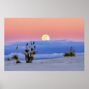 WITTE ZAND POSTER