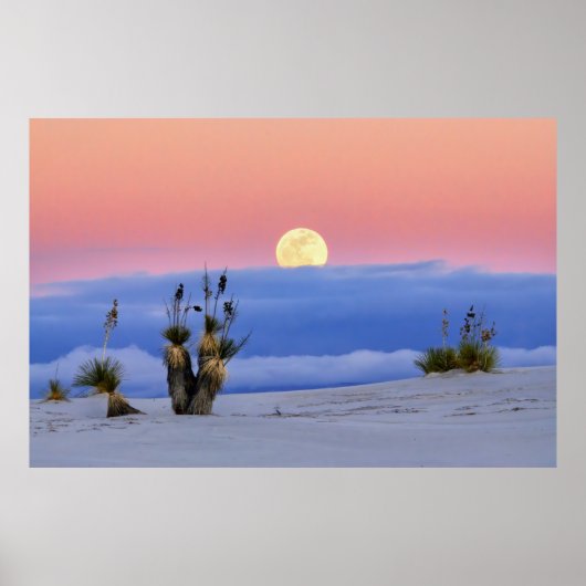 WITTE ZAND POSTER (Voorkant)