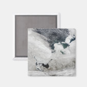 Witte Zee, Rusland Magneet (Voorkant / Achterkant)