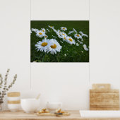 witte zeeduivel poster (Keuken)