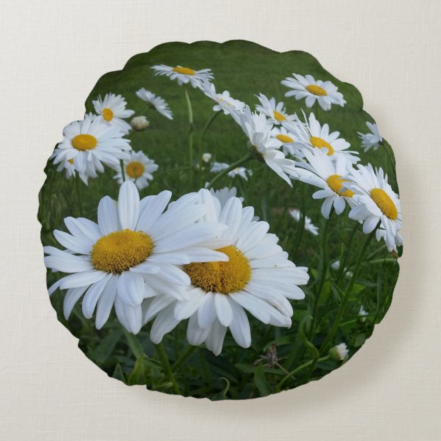 witte zeeduivel rond kussen (Voorkant)
