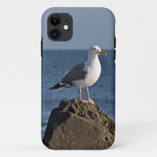 Witte zeemeeuw en oceaan iPhone 11 hoesje