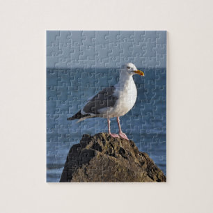 Witte zeemeeuw en oceaan legpuzzel