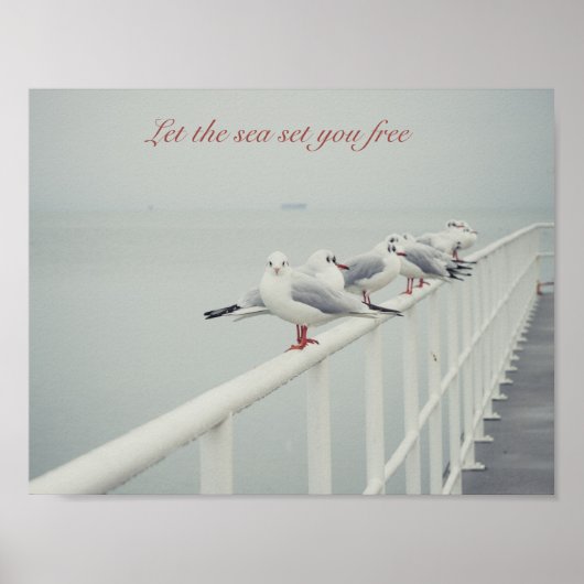 Witte zeemeeuw op een winterdag poster (Voorkant)