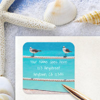 Witte zeemeeuw strand vogels foto retour adres