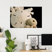 Witte zeemijlen en zanddollar poster (Thuiskantoor)