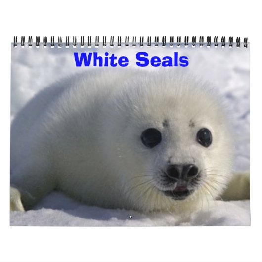 Witte zegels! kalender (Hoes)