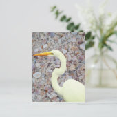 witte zilverreiger briefkaart (Staand voorkant)