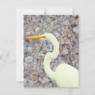 witte zilverreiger briefkaart