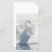 Witte Zwaan Kaart (Voorkant / Achterkant)