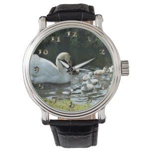 Witte zwaan met kippen horloge