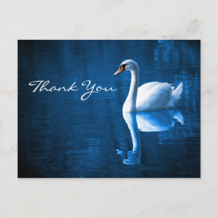 Witte zwaan op blauw water Dank u Briefkaart