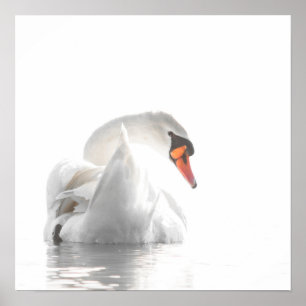 Witte Zwaan op Nevelig Water – Minimalistische Wil Poster