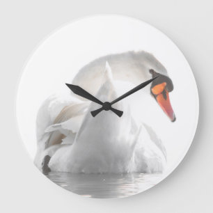 Witte Zwaan op Water Grote Klok