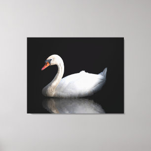 Witte zwaan op zwart canvas afdruk