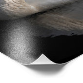 Witte zwaan op zwart foto afdruk (Hoek)