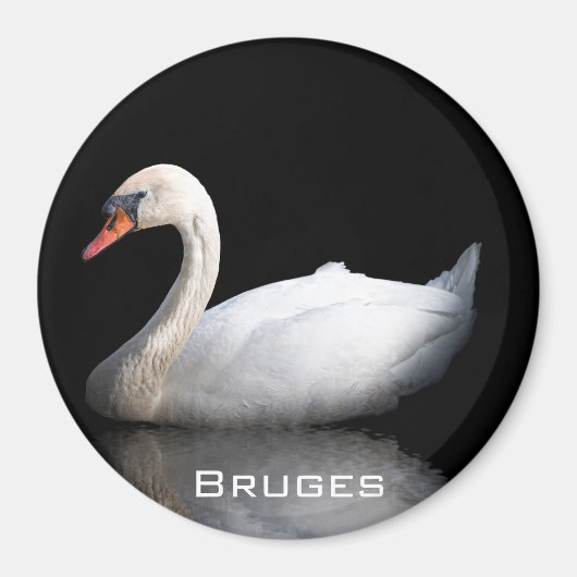 Witte zwaan op zwart magneet (Voorkant)