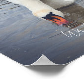 Witte zwaan poster (Hoek)