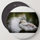 Witte zwaan ronde button 6,0 cm (Voorkant /achterkant)