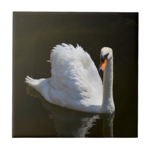 Witte zwaan tegeltje