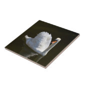 Witte zwaan tegeltje (Zijkant)