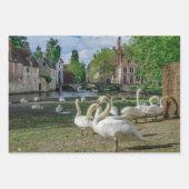 Witte zwanen in Brugge Inpakpapier Vel (Voorkant 3)