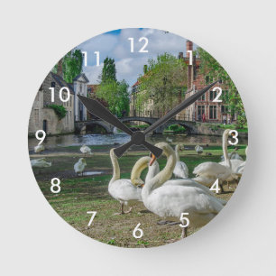Witte zwanen in Brugge Ronde Klok