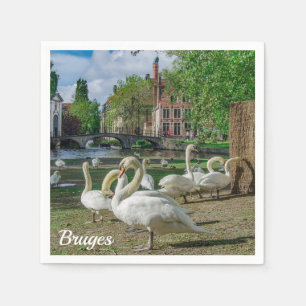 Witte zwanen in Brugge Servet