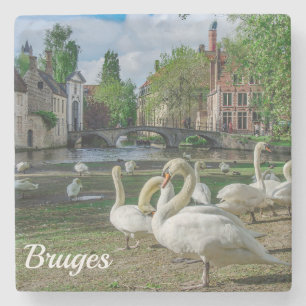 Witte zwanen in Brugge Stenen Onderzetter
