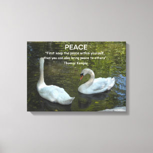 Witte zwanen op het water met vredecitaat canvas afdruk