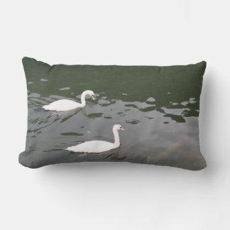 Witte zwanen op het water - Natuurfotografie Lende Kussen