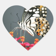 Witte zwarte en gele vlinder op roze bloemen