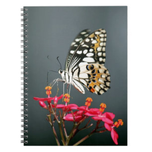 Witte zwarte en gele vlinder op roze bloemen notitieboek