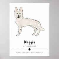 Witte Zwitserse Herder Witte GSD en aangepaste tek