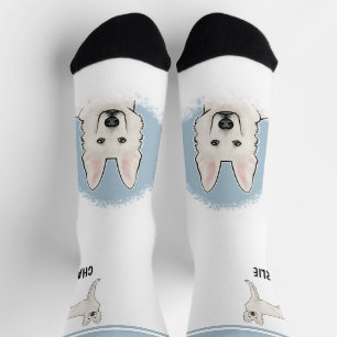Witte Zwitserse Herdershond Witte GSD Hond Met Naa Sokken