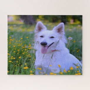 Witte Zwitserse Schaapherder Puzzels. Legpuzzel