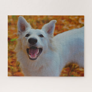 Witte Zwitserse Schaapherder Puzzels. Legpuzzel