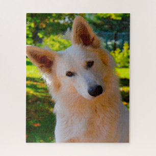 Witte Zwitserse Schaapherdershond Jigsaws. Legpuzzel