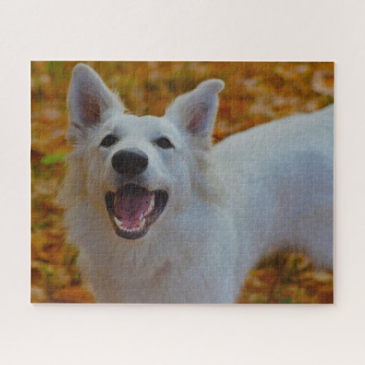 Witte Zwitserse Shepherd Dog Jigsaws. Legpuzzel (Horizontaal)