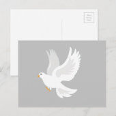 Witteduif op grijs briefkaart (Voorkant / Achterkant)